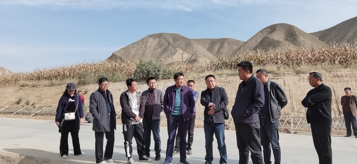 1607324960371010562.jpg 4.jpg